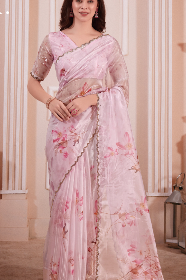 Indian women clothing in Raipur